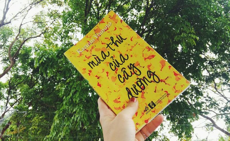 mùa thu của cây dương